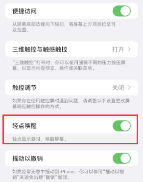 皮山苹果授权维修站分享iPhone轻点无法唤醒怎么办 