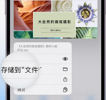 皮山apple维修中心分享iPhone文件应用中存储和找到下载文件