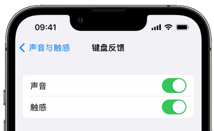 皮山苹果手机维修分享iPhone 14触感键盘使用方法 