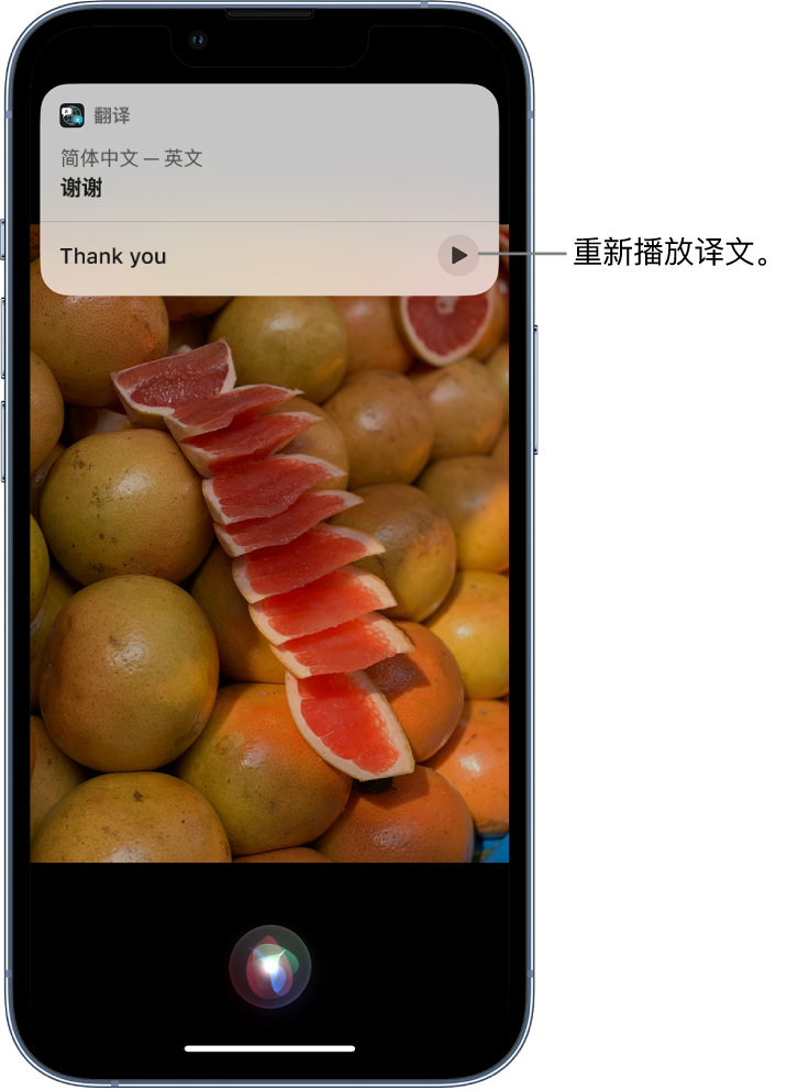 皮山苹果14维修分享 iPhone 14 机型中使用 Siri：了解 Siri 能帮你做什么 