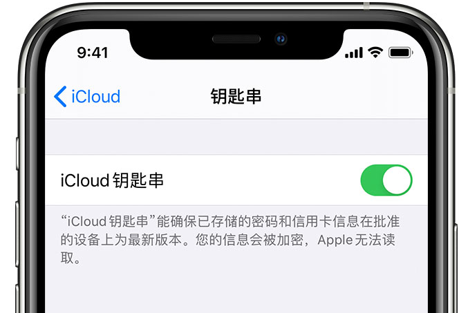 皮山苹果手机维修分享在 iPhone 上开启 iCloud 钥匙串之后会储存哪些信息 