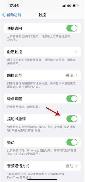 皮山苹果手机维修分享iPhone手机如何设置摇一摇删除文字 